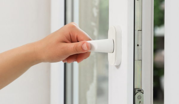 Double_Hung_and_Casement_Windows